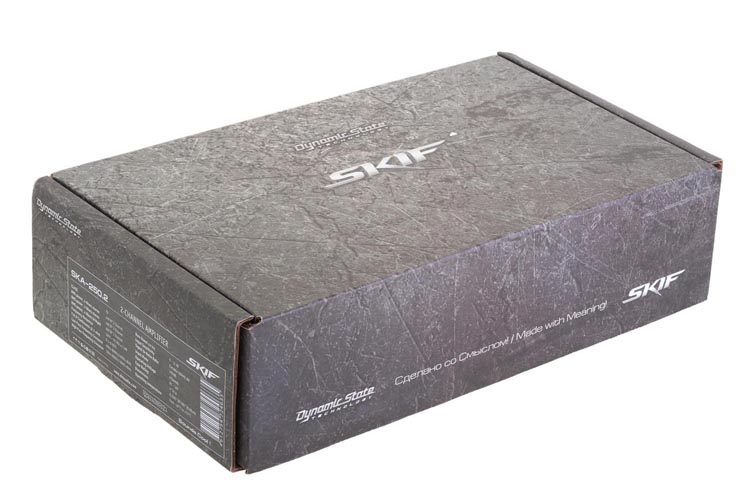 Dynamic State SKIF SKA-250.2  2-канальный широкополосный усилитель, Class FD, (1)
